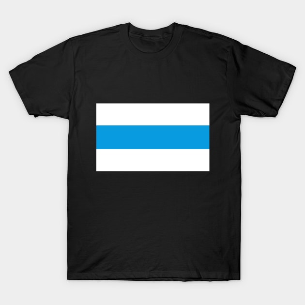 White blue white - New Russian Flag T-Shirt by d o r r i a n